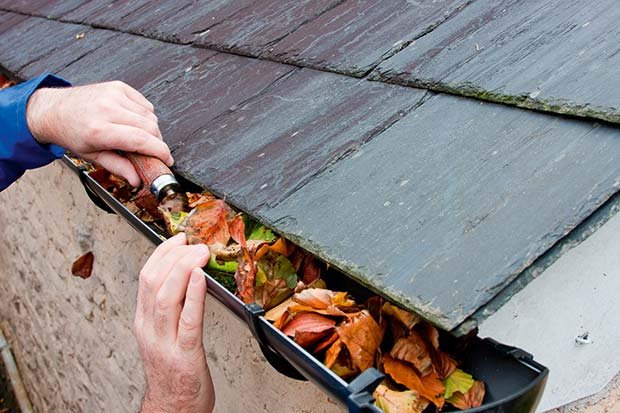 Repairing-Gutters-Clearing-Leaves