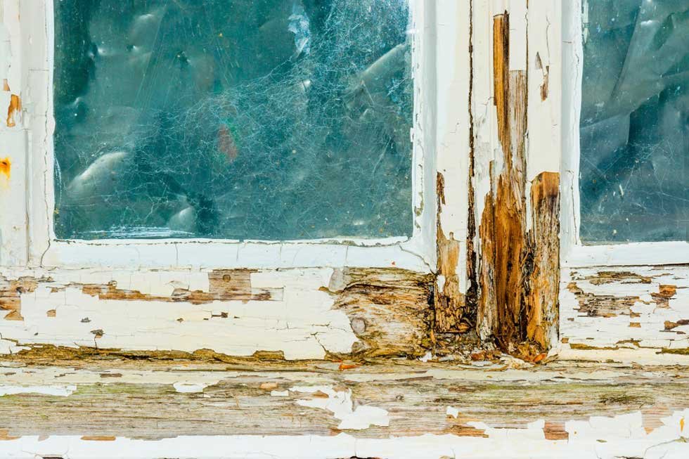 Timber-Decay-Window-Frame