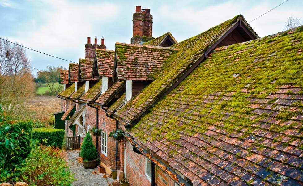 old-roof-over-cottages-green-moss-dormers-edit