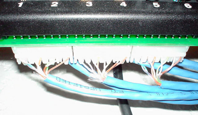Cables punched down to the back of the patch panel