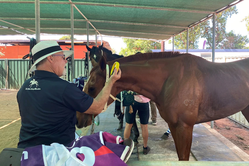 One man, one scanner and a scandal racing can't afford to see repeated 11 Bruce looks at scanner