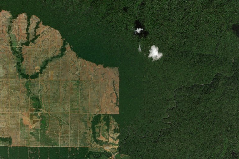 Rainforest clearing for oil palm in Gorontalo, Sulawesi in 2016. Photo credit: NASA Landsat