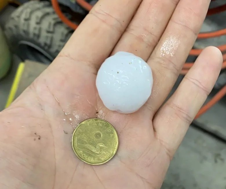 Nearly 4,000 auto insurance claims made after recent Sask. storm | CBC News 1